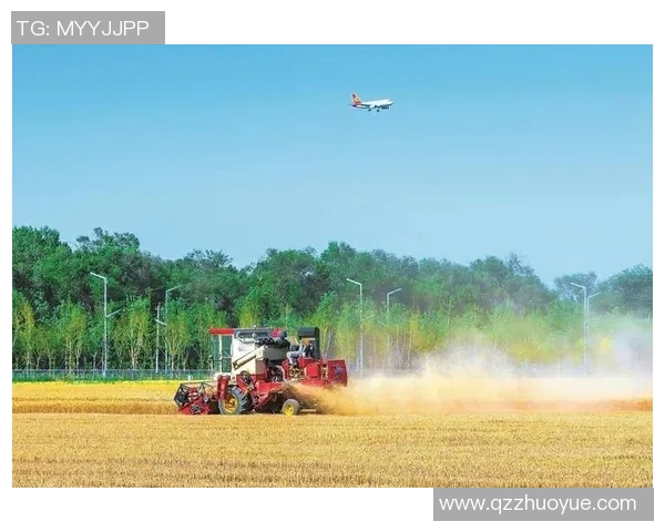 五谷丰登:探索五大主要农作物对中国农业发展的深远影响 五谷丰登:探索五大主要农作物对中国农业发展的深远影响